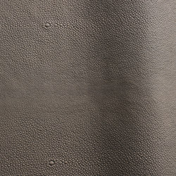 Stingray | Colour grey | Futura Leathers