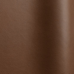Tango 60260 | Colour brown | Futura Leathers