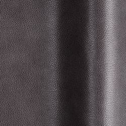 Tango 60300 | Colour black | Futura Leathers