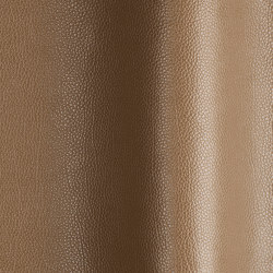 Tango 60450 | Natural leather | Futura Leathers