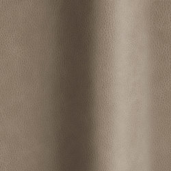 Touché 02016 | Natural leather | Futura Leathers