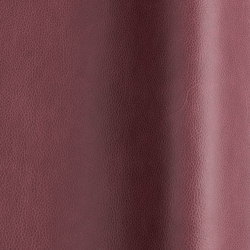 Touché 02052 | Natural leather | Futura Leathers
