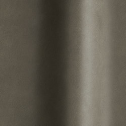 Touché 02058 | Colour grey | Futura Leathers