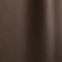 Wind 4107 TT | Natural leather | Futura Leathers