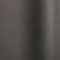 Wind 4109 TT | Upholstery fabrics | Futura Leathers