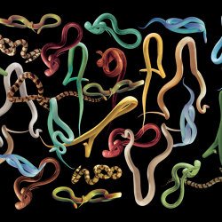 Snakes Storm | Wall coverings / wallpapers | LONDONART