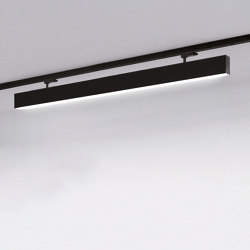 Log Out 2.1 Track | Track lighting | MOLTO LUCE