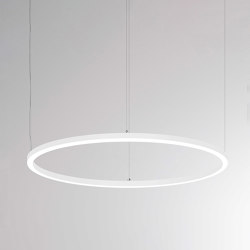 Ride Ring PD | Suspended lights | MOLTO LUCE
