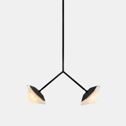 Myriad Wishbone Double Pendant | Suspended lights | Gabriel Scott