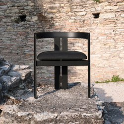 Pigreco | Chairs | Tacchini Italia