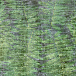 Ferns | Wall coverings / wallpapers | WallPepper