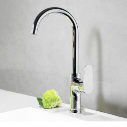 ALEXIA | RSM360602 | Kitchen taps | Ramon Soler