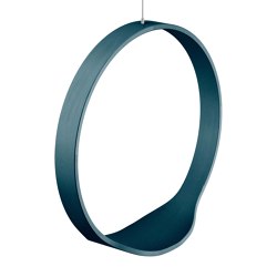 Circleswing N.1 Wooden Hanging Chair Swing Seat -  Ral⎥indoor | Swings | Iwona Kosicka Design