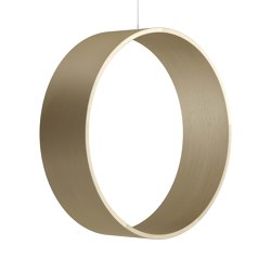 Circleswing N.3 Wooden Hanging Chair Swing Seat -  Ral⎥indoor | Swings | Iwona Kosicka Design