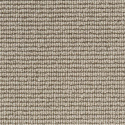 Clarity - Almond | Rugs | Best Wool
