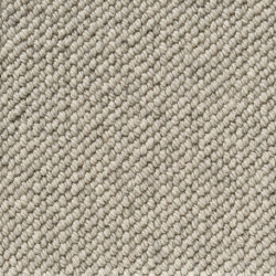 Lucid - Tallow |  | Best Wool