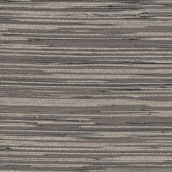 Vista 6 213668 | Wall coverings / wallpapers | Rasch Contract