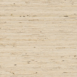 Vista 6 215303 | Wall coverings / wallpapers | Rasch Contract
