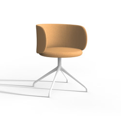 Lodovica | Chairs | IOC project partners