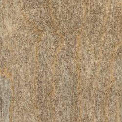 Access Woods - 0,55 mm I Bleached Elm | Synthetic tiles | Amtico