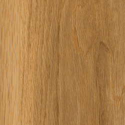 Access Woods - 0,55 mm I Honey Oak | Vinyl flooring | Amtico