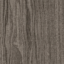Access Woods - 0,55 mm I Winter Oak | Synthetic tiles | Amtico