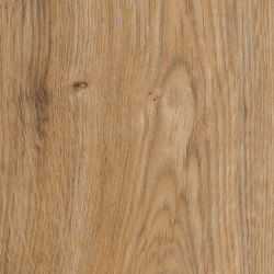 First Woods - 0,3 mm I Featured Oak | Synthetic tiles | Amtico