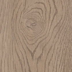 First Woods - 0,3 mm I Harvest Oak | Synthetic tiles | Amtico