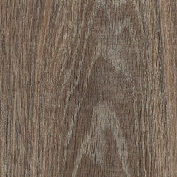First Woods - 0,3 mm I Haven Oak | Synthetic tiles | Amtico