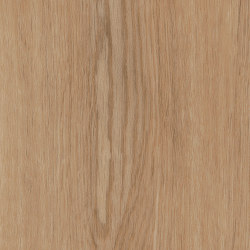 First Woods - 0,3 mm I Natural Oak | Vinyl flooring | Amtico