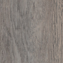 First Woods - 0,3 mm I Trent Oak | Synthetic tiles | Amtico