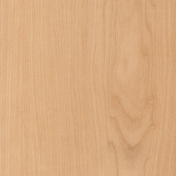 First Woods - 0,3 mm I Warm Maple | Piastrelle plastica | Amtico