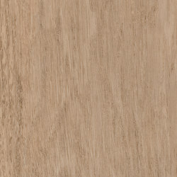 First Woods - 0,3 mm I Wheat Oak | Synthetic tiles | Amtico