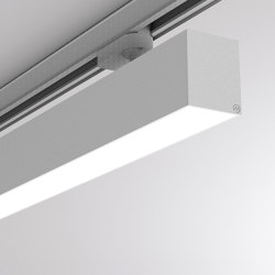 Log 50 Track | Lighting systems | MOLTO LUCE