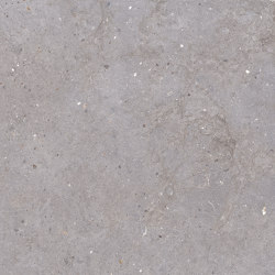 Omnia | Pirenei Silver | Ceramic tiles | Keope