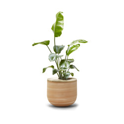 Lur | Plant pots | Alki