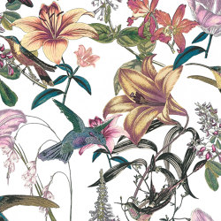 Jungle Chic | Wallpaper Jungle Chic - 1 | 377011 | Wall coverings / wallpapers | Architects Paper