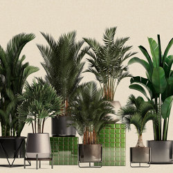 Walls by Patel 3 | Carta da Parati plant shop 1 | DD122084 | Wall coverings / wallpapers | Architects Paper