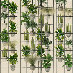 Walls by Patel 3 | Carta da Parati plant shop 2 | DD122088 | Wall coverings / wallpapers | Architects Paper