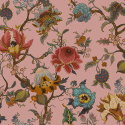 CLIMBING WALLS: ARTEMIS Wallpaper - Blush | Wall coverings / wallpapers | House of Hackney