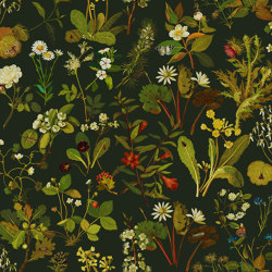 HERBARIUM Wallpaper - Forest Green | Wall coverings / wallpapers | House of Hackney