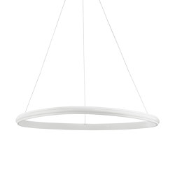 ARIES Decorative Pendant Lamp | Suspended lights | NOVA LUCE