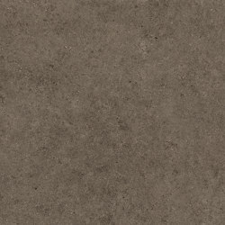 Boost Stone Tobacco 120x120 Matt | Ceramic tiles | Atlas Concorde