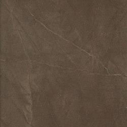 Marvel Bronze Luxury 30,5x56 | Ceramic tiles | Atlas Concorde