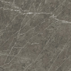 Marvel Grey Stone 60x120 Polished | Ceramic tiles | Atlas Concorde