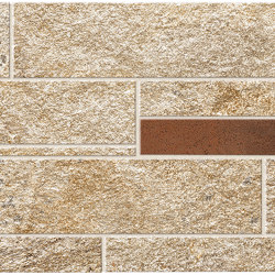 Norde Oro Brick Corten 27,8x39 Matt | Baldosas de cerámica | Atlas Concorde
