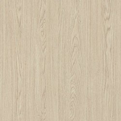 Dainty Oak latte | Wood panels | UNILIN Division Panels