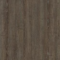 Logan Oak | Wood veneers | UNILIN Division Panels