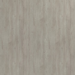 Venamo Oak | Wood panels | UNILIN Division Panels