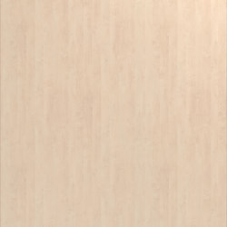 White Birch | Wood panels | UNILIN Division Panels